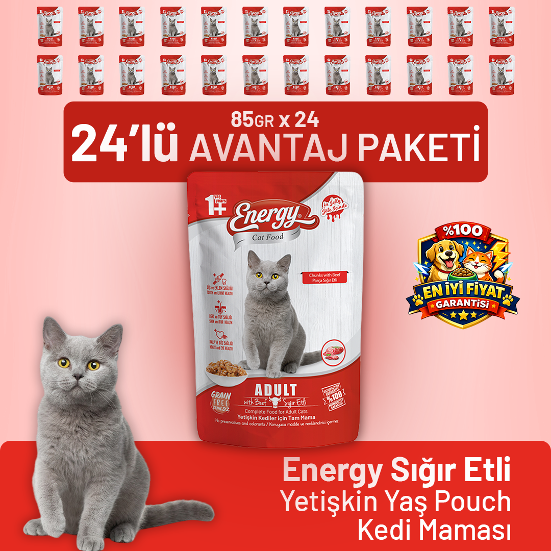 Sığır Etli Yetişkin Yaş Kedi Maması 85 g - 24 Adet