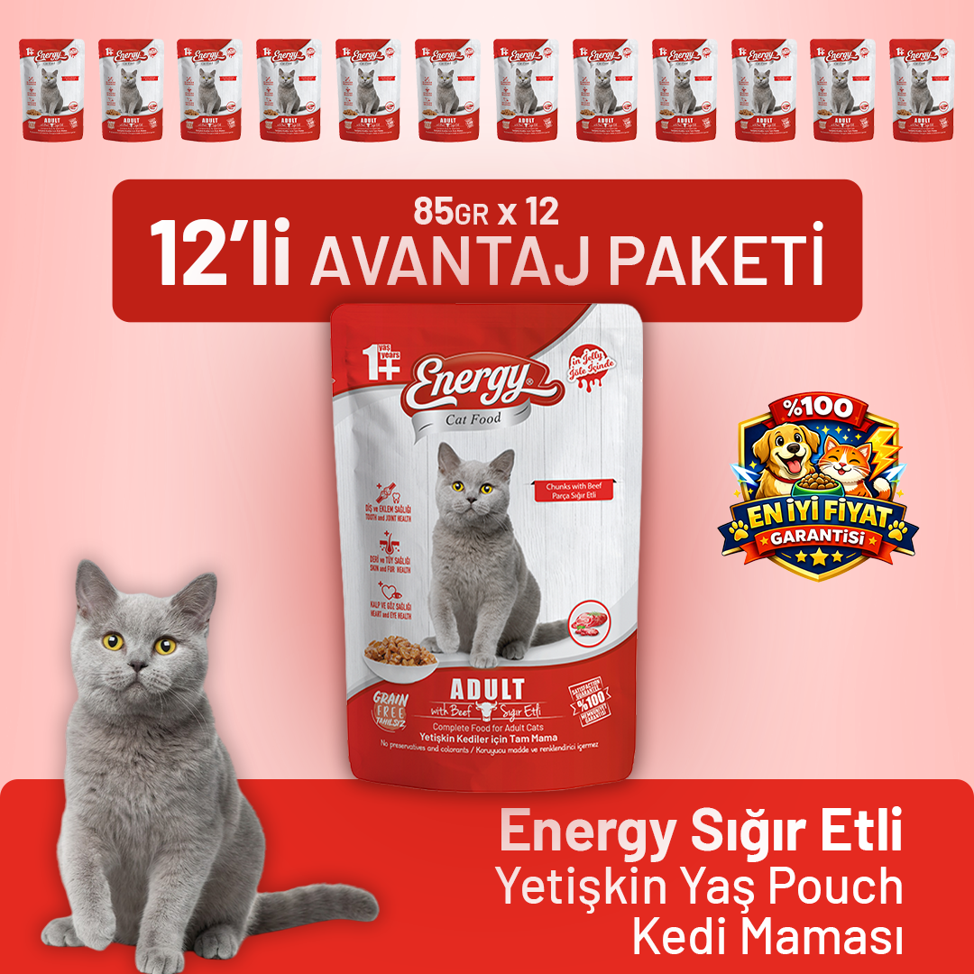 Sığır Etli Yetişkin Yaş Kedi Maması 85 g - 12 Adet