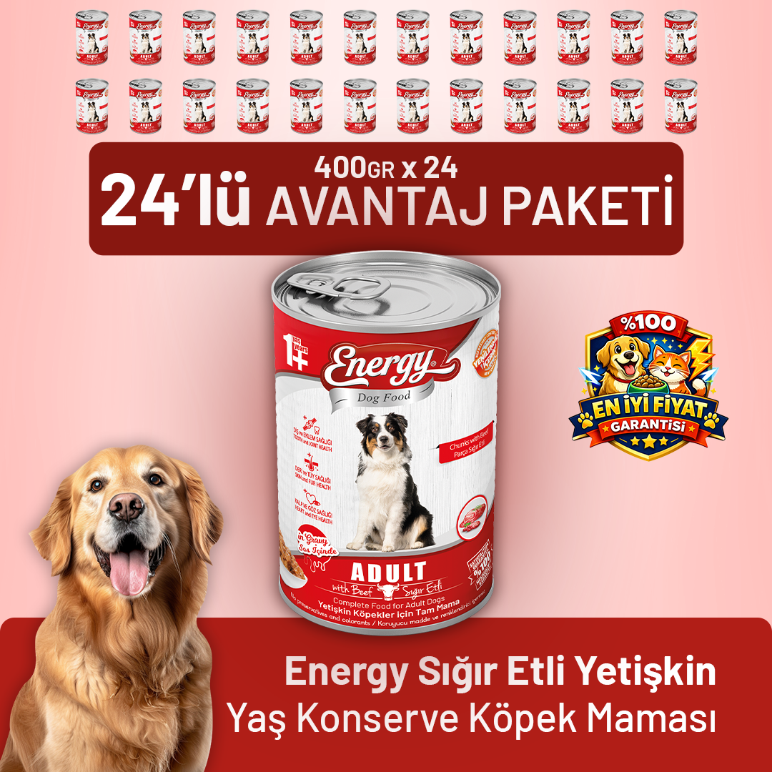 Sığır Etli Yetişkin Yaş Köpek Maması 400 g - 24 Adet