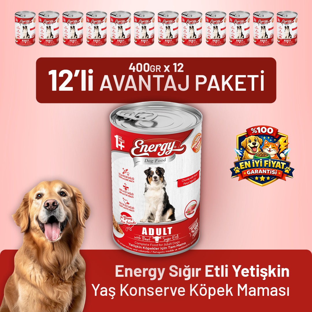 Sığır Etli Yetişkin Yaş Köpek Maması 400 g - 12 Adet