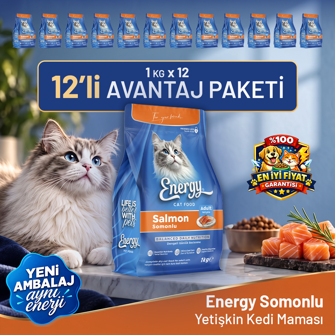 Somonlu Kedi Maması 1 KG - 12 Adet