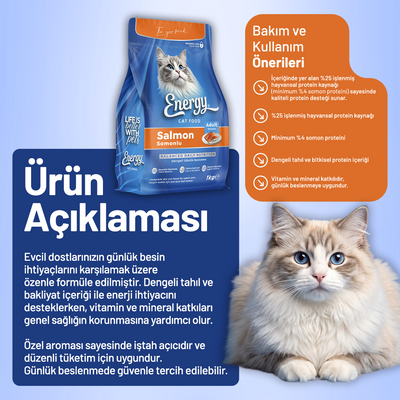 Somonlu Kedi Maması 1 KG - 12 Adet