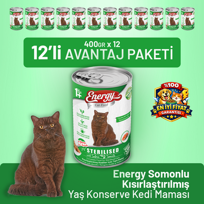 Somonlu Kısırlaştırılmış Yaş Kedi Maması 400 g - 12 Adet
