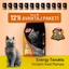 Tavuklu Yetişkin Kedi Maması - 12 Adet