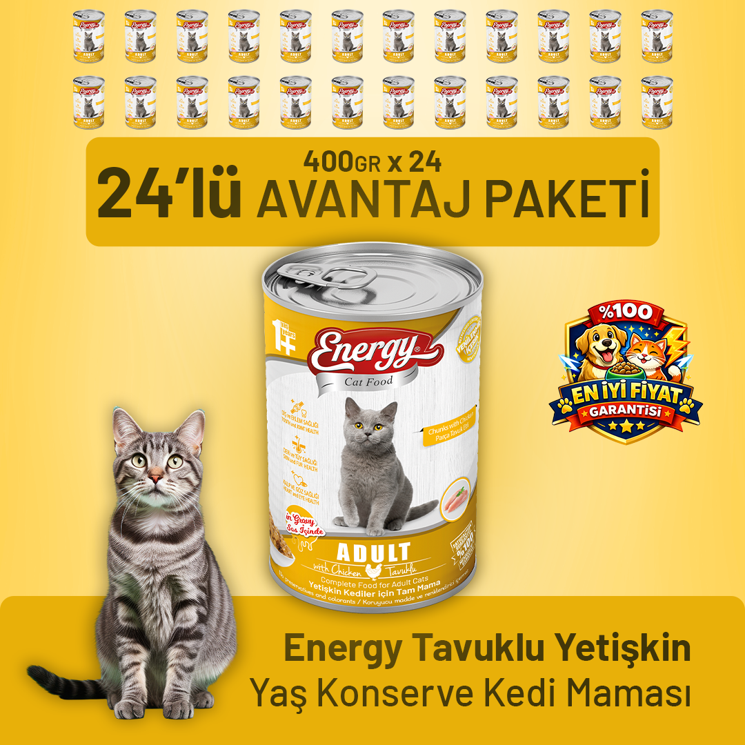 Tavuklu Yetişkin Yaş Kedi Maması 400 g - 24 Adet