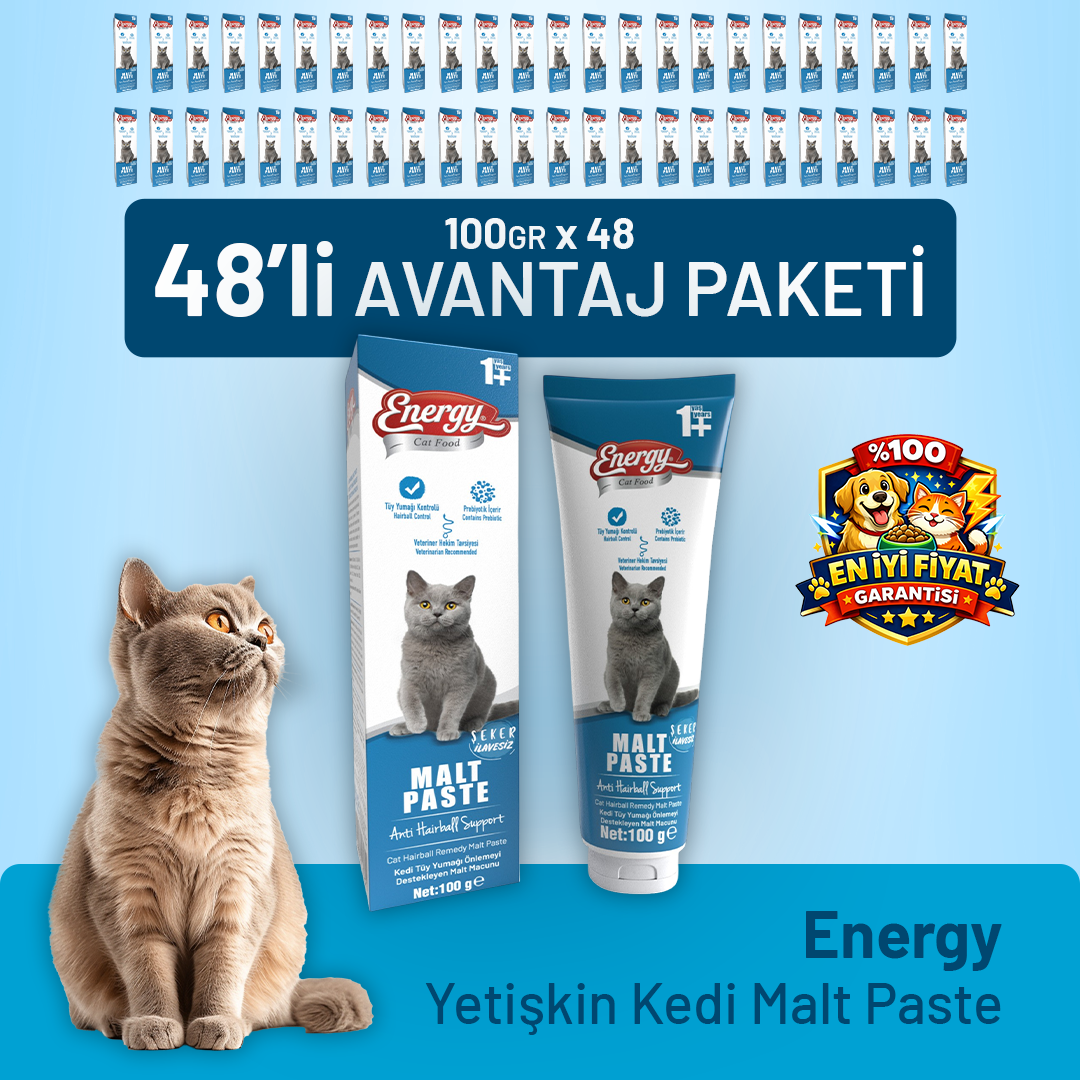Yetişkin Kedi Malt Paste 100 g - 48 Adet