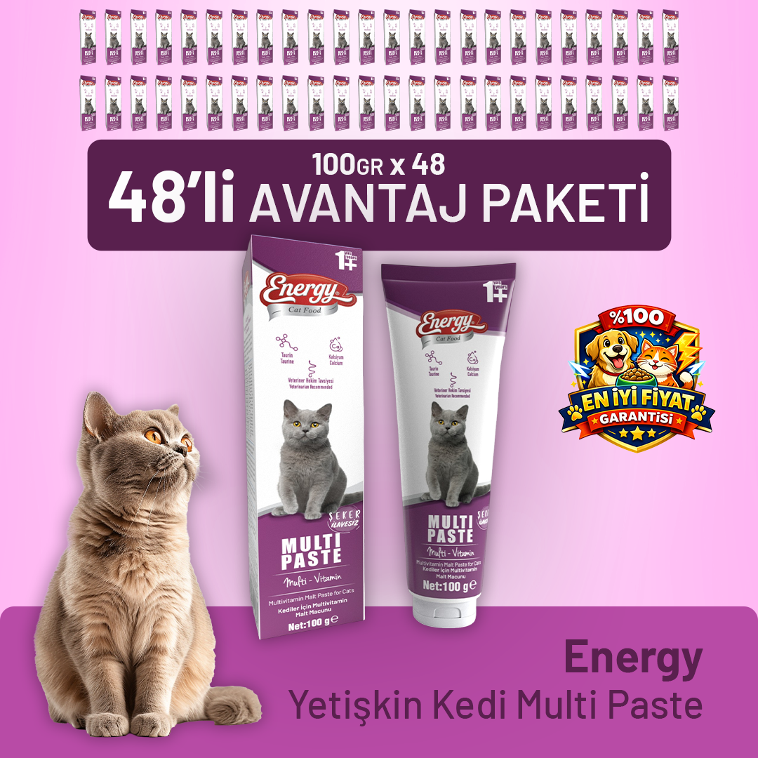 Yetişkin Kedi Multi Paste 100 g - 48 Adet